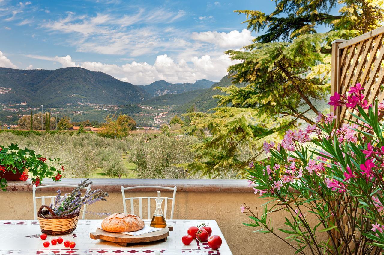 Olea Dei Holiday Apartments San Felice del Benaco Exteriér fotografie